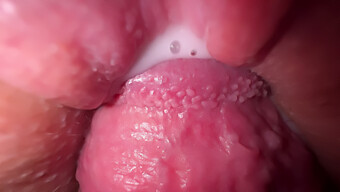 Vagina Saudara Tiri Yang Ketat Dan Lembut Mendapatkan Close-Up Dalam Video Buatan Sendiri