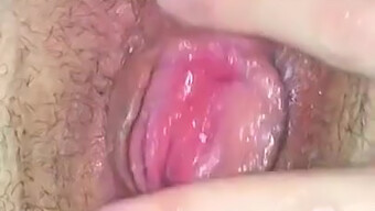 Close-Up Dari Vagina Basah Dan Dekat