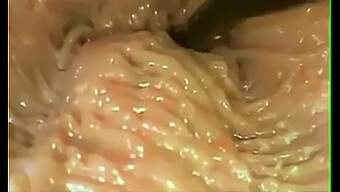 Tiefes Eintauchen In Vaginale Penetration In Explizitem Video